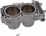 Moose Racing Engine Cylinder for 2013-2015 Polaris Ranger 900 XP UTV