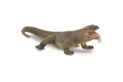 CollectA - Komodo Dragon Large Figurine
