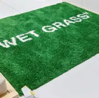 在飛比找樂天市場購物網優惠-潮牌濕草地wet grass 長絨地毯 現代流行地墊 (80
