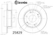 BREMBO OEM EXACT-FIT HONDA ACURA TSX ACCORD REAR BRAKE ROTOR DISC 2-PC SET