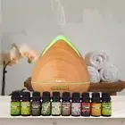 Purespa Diffuser Set With 10 Pack Diffuser Oils Humidifier Aromatherapy - Light