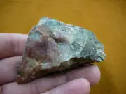 (DF701-13) 4 oz Fossil REAL DINOSAUR POOP Coprolite Dino Utah Jurassic DUNG Scat