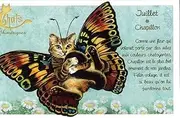 Juillet Chapillon 94179PC Cat Postcard, Juillet Chapillon, July Butterfly, Cat, Postcard, Papillon