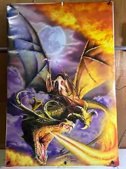ROLLED 2000 LORD OF FIRE DRAGON WIZARD FANTASY MAGIC ART 24X36 POSTER 0080