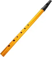 UPKOCH Beginner Irish Whistle Recorder 6-hole c Key Boys and Girls Instrument Made of Brass Portable Flute for Irish Music Learning