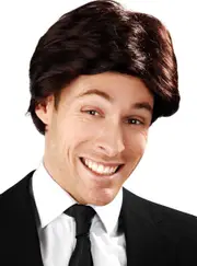 Anchorman Mens 70s Short Brown Costume Wig