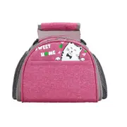 New Small Insulated Thermal Lunch Bag with Shoulder Strap Adjustable Cooler Bento Box Storage Container Bags for Women Kid