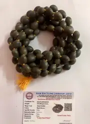 Lab Certified KAMAL GATTA Lotus Seed Mala ROSARY 108 Bead 68 inch Prayer Beads