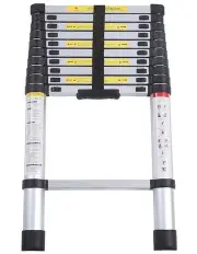 [Traderight] Telescopic Aluminium Extension Multipurpose Ladder 3.2M in Silver