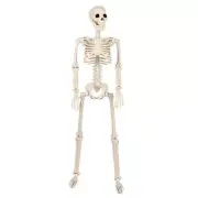 Halloween Poseable Skeleton Decoration Human Body Ornament for Haunted House