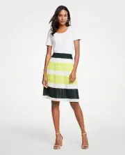 NWT Ann Taylor Bold Stripe Pleated Skirt, size 8US, Multicolor, lined, back zip