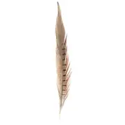 Cactus Ranch Feather Ringneck Pheasant Tail - Hats Add-Ons - F-56