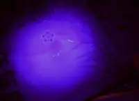 在飛比找Yahoo!奇摩拍賣優惠-5mm led UV LED紫外線(波長390nm~410n