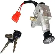 Ignition Barrel Key Switch for JOG100 ZY100T LYM100T 100CC 2 Wires Motorcycle Scooters Switch Key Faucet Lock Head Lock Electric Door Lock Motor Ignition Key Switches(FC100)