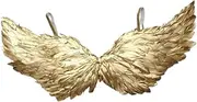 rockible Angel Wing Kids Decorative Wing Cosplay Decor Lightweight Dress up Cute Photo Props for Boys Girls Devil Wing Feather Wing, Gold