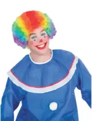 Clown Wig Rainbow Wig Halloween costume dress up Fun World adult one size