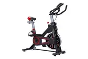 Powertrain RX-600 Exercise Spin Bike Cardio Cycle - Red