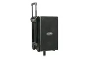 SoundArt Extension Speaker for PWA-100 Wireless PA System