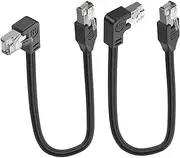 LANMINGLEL Short 90 Degree Cat5e Ethernet Cable Cat 5e LAN Extended Cable RJ45 Male to Male Network Cable for Router Modem Smart TV PC Computer Laptop 30 cm (Left and Right)