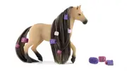 Beauty Horse Andalusian Mare