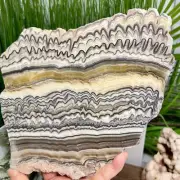 Large Zebra Calcite Slice Healing Crystal Specimen Slab 1104g