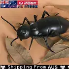 Remote Control Mock Fake Cockroach Insects Infrared Rc Toy Prank Roach Kid Gift℃