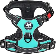 [PoyPet] No Pull Dog Harness, No Choke Reflective Oxford Outdoor Vest, Adjustable Pet Harnesses, No Choke Reflective Oxford Outdoor Vest, Padded Handle for Small Medium Large Dogs (Mint Blue,M)