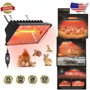 Stainless Steel Brooder Heating Plate & Heat Lamp for Cozy Chicken Coop - Black