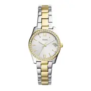 Fossil Scarlette Mini Three-Hand Date Two-Tone Stainless Steel Watch ES4319 Two Tone