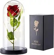 Ninonly Red Rose Light Gifts for Mom Wife Grandma, Preserved Red Rose Flower with LED Lights, Galaxy Rose Flower Gifts for Mother's Day Wedding Anniversary Birthday Valentines Christmas Day