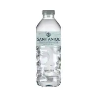 在飛比找momo購物網優惠-【SANT ANIOL 聖艾諾】火山岩礦泉水PET瓶 500