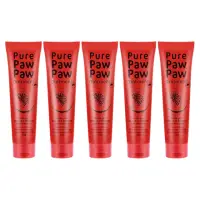 在飛比找momo購物網優惠-【Pure Paw Paw】澳洲神奇萬用木瓜霜 25gX5