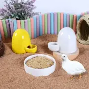 Chicken Guinea WaterDispenser Tiny Small Animal Bottle Rat Automatic Pet Feeders