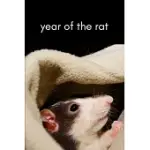 YEAR OF THE RAT 2020 JOURNAL - CHINESE NEW YEAR 2020 CELEBRATION