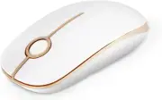Vssoplor Wireless Mouse, 2.4G Slim Portable Computer Mouse with Nano Receiver...