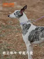 ZOOLAND寵物狗狗脖圈半P鏈項圈遛小中型犬法斗防爆沖頸圈牽引繩子