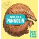 Hello, I’m a Pangolin (Meet the Wild Things, Book 2)