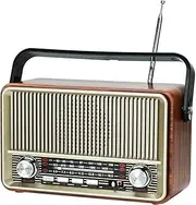 Portable Bluetooth FM AM SW Stereo Radio, Support USB Disk, USB/TF Card, AUX Jack - Music Playing with Rechargeable Battery, Built-in Speaker, Great (Gold)