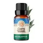 GuruNanda 100% Natural Essential Oil Blend for Aromatherapy & Diffuser - 15ml