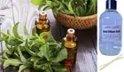 PEPPERMINT & EUCALYPTUS - Reed Diffuser Refill