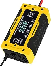 Wscwl 12V 6A Car Charger | Automotive Charger 6A 12V Battery Charger | Portable Battery Maintainer Float Car Charger for Motorcycle & Car