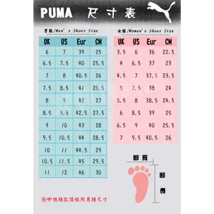 Puma 拖鞋 男女鞋 防水 Shibui Cat 米/棕【運動世界】38529603/38529611