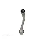 Protex Control Arm - BJ8799L-ARM
