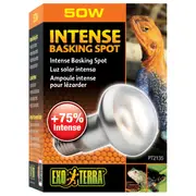 Exo Terra Basking Spot Lamp - 50 Watt