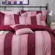 【旭興寢具】100%精梳棉 單人3.5x6.2尺 舖棉床罩鋪棉兩用被五件式組-CB640紅