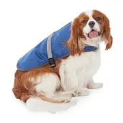 All Day Rip Stop Dog Saddle Coat Blue