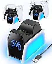 Dual PS5 Controller Charger