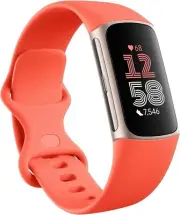 Fitbit Charge 6 Bluetooth Activity Tracker - Champagne Gold Case / Coral Band