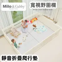 在飛比找蝦皮購物優惠-Milo＆Gabby遊戲圍欄爬行墊套裝寶寶防摔塑料兒童室內家