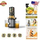 Efficient 250W Masticating Juicer with 2 Metal-Free Filters & One-Button Ease